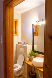 a bathroom with a toilet and a sink at Sadova Village - Casa Maria in Sadova +36 photos