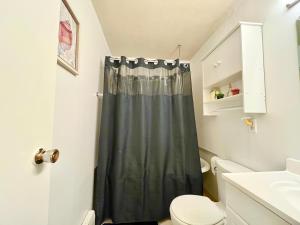 a bathroom with a shower curtain and a toilet at Comfortable Room BU, UHS, Lourdes, Queen Bed in Endicott