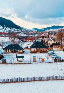 a town covered in snow with houses and cars at Sadova Village-Casa Elena in Sadova