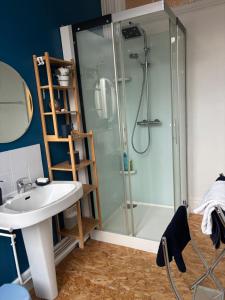 a bathroom with a shower and a sink at Maison Dentelle in Caudry