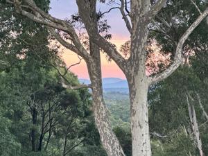 a painting of a tree with a sunset in the background at The Oasis Retreat in Tomerong +43 photos