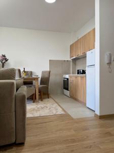 a kitchen with a couch and a table in a room at Apartman Kitanović 1 Vrnjačka Banja in Ruđinci