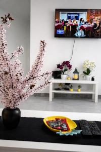 a room with a table with a tv and a plant at Sobe Potić in Belgrade