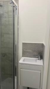a bathroom with a sink and a shower at Studio Luxe on Chudleigh D in London