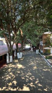 a tree lined street with trees and a building at Hotel El Rancho in San Juan Bautista Tuxtepec