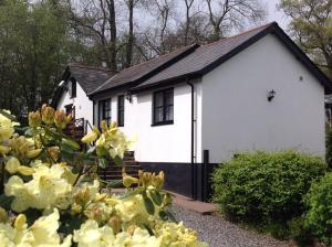 a white house with yellow flowers in front of it at Nuthatch nr Huntsham in Tiverton