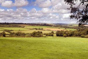 a field of green grass with trees in the foreground at Nuthatch nr Huntsham in Tiverton +10 photos
