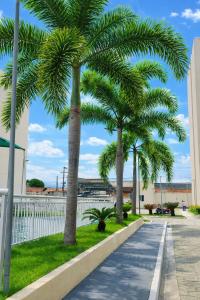 a row of palm trees next to a sidewalk at Apto1 - Próximo ao Shopping Metrópole in Ananindeua