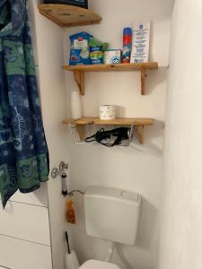 a small bathroom with a toilet and shelves at Ferienwohnung Relax 1 in Hahnenklee-Bockswiese +23 photos