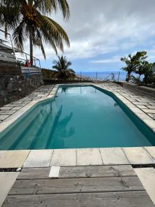 a blue swimming pool with a palm tree and the ocean at Villa Annaga in Saint-Paul