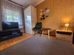 a living room with a chair and a television at Domek Dębowy in Brzozie +2 photos