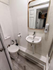 a bathroom with a toilet and a sink and a mirror at Small Compact Self Contained Studio Flat in Oxford
