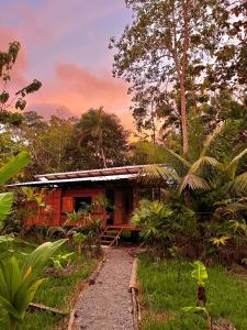 a small house in the middle of a forest at Casa Caimito in Nuquí