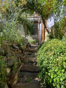 a stone path leading to a house with an archway at Hostal Crisol in Refugio Lo Valdés