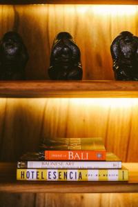 a couple of books on a shelf with some skulls at C South Hideout in Butong