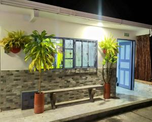 two potted plants and a bench in front of a building at HOUSE IBIS Salento in Salento