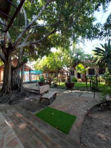 a park with a bench sitting under a tree at Homestay Phố biển cam bình in Lagi