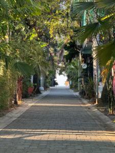 an empty street with palm trees on either side at Islas Boho Tiny Home - Main strip El Tunco in El Sunzal