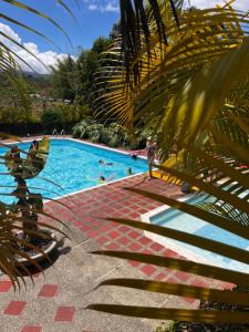 a group of people swimming in a swimming pool at Natural Luxury Birding Lodge - Premium Birdwatching near Cali in Papagalleros