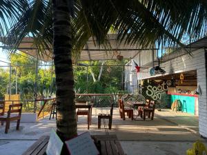 a patio with a table and chairs and a palm tree at Mantra Homestay in Bacalar