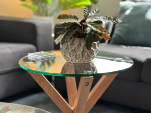 a vase with a plant on a glass table at Daisy Cottage on Duke 3BR in Yarram +10 photos