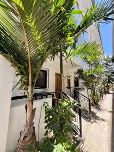 eine Gruppe Palmen vor einem Gebäude in der Unterkunft Marion Roos Hotel in Puerto Galera