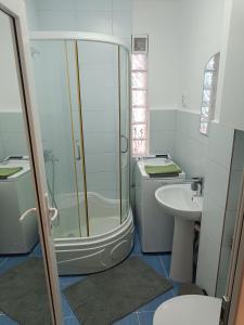 a bathroom with a shower and a toilet and a sink at Apart Robert 1 in Bicaz