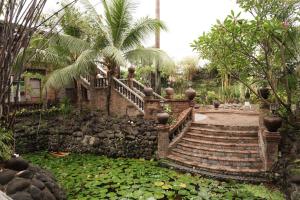 a stone staircase in a garden with a pond and trees at Casa Salome in Matas