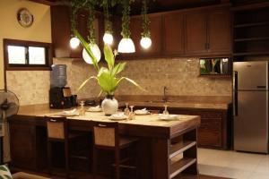 a kitchen with a island with a potted plant on it at Casa Salome in Matas