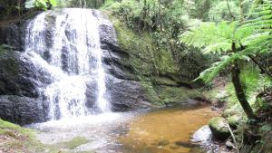 a waterfall in the middle of a jungle at Fazenda Monte Verde A Morada do Muriqui in São Francisco Xavier