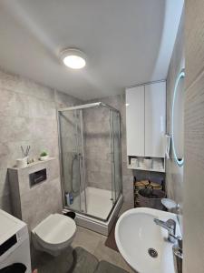a bathroom with a shower and a toilet and a sink at Daluxst apartman in Vrnjačka Banja +26 photos
