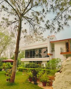a building with a tree in front of it at Pine Tree Resort Betla in Kechki