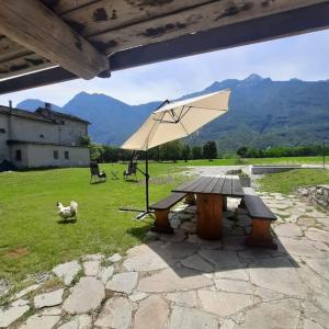 a picnic table and an umbrella in a field at L' Èef Cascina in San Cassiano +26 photos