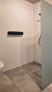 a bathroom with a toilet and a shower stall at Haus am FELS Steinbrech in Hermagor