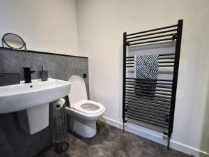 a bathroom with a white sink and a toilet at Modern Top Floor 2BR apartment in Montrose