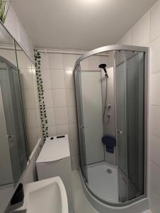 a bathroom with a shower and a toilet and a sink at Castle View Apartment in Malbork