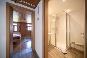 a bathroom with a shower and a glass door at Landhaus-Willi in Gaschurn +44 photos