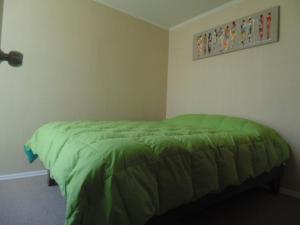 a bedroom with a bed with a green comforter at Amoblados Copiapo in Copiapó