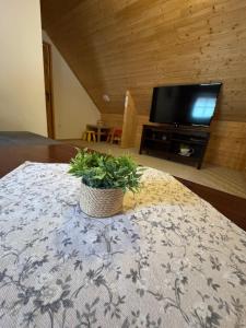 a potted plant sitting on a table in front of a television at Chalupa Nella in Velké Karlovice