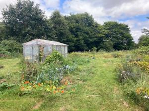 a greenhouse in the middle of a field of flowers at Longère en campagne in Maisonnay +3 photos
