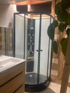 a glass shower in a bathroom next to a sink at Longère en campagne in Maisonnay