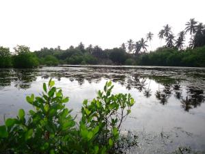 Paesaggio naturale nelle vicinanze dell'affittacamere