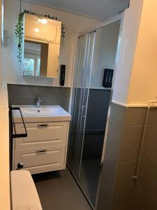 a bathroom with a shower and a sink and a mirror at Buitengewoon Beerze in Beerze +31 photos