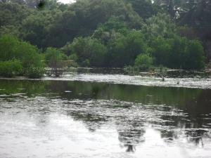 Paesaggio naturale nelle vicinanze dell'affittacamere