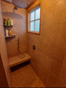 a bathroom with a shower and a window at Les Chryolles - Les Marmottes in Valmeinier +26 photos