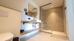 a bathroom with a shower and a toilet at Vakantiehuis Bartholomé in Nieuwmunster +24 photos