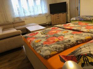 a room with two beds and a couch and a television at Bibina in Levoča