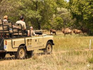 a group of people riding in a jeep in a field with animals at Lapa Phanzi Game Lodge in Modimolle