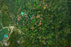 an overhead view of a forest with houses and trees at The Leela Coorg Forest Sanctuary in Madikeri