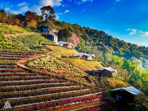 a farm on a hill with houses on it at Doi Inthanon Waterfall Garden in Ban Sop Mae Klang